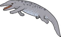 PAKICETU.CMX