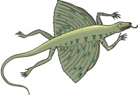 KUEHNEOS.CMX