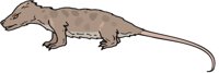 CYNODONT.CMX