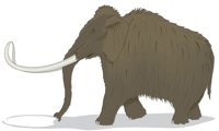 MAMMOTH.CMX
