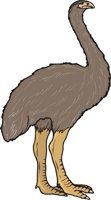MOA.CMX