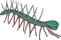 MICRODIC.CMX