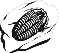 FOSSIL2.CMX