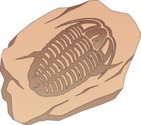 FOSSIL.CMX