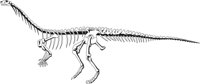 DINBONES.CMX
