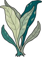 SEA_PEN.CMX