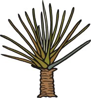 LYCOPSID.CMX