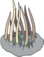 WIWAXIA.CMX