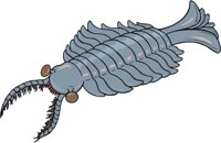 ANOMALOC.CMX