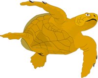 TURTLES.CMX
