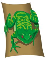 TREEFROG.CMX