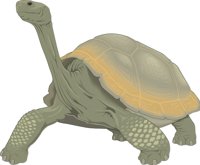 TORTOISE.CMX