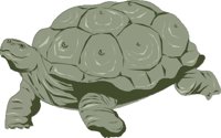 TORTOISA.CMX