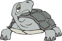 TORTOI02.CMX