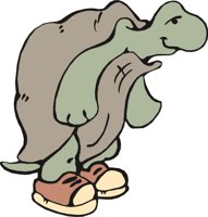 TORTOI01.CMX
