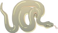 SNAKE002.CMX