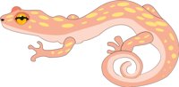 SAMANDER.CMX