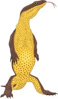 LIZARD5.CMX
