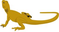 LIZARD1.CMX