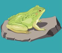 FROGO.CMX