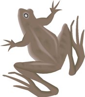 FROG9.CMX