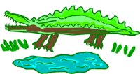 CROCODIL.CMX