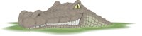 CROC.CMX