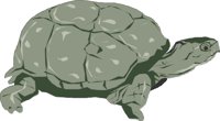 BOXTURTL.CMX