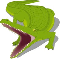 ALLIGATO.CMX