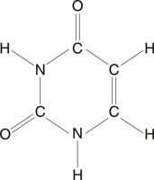 URACIL.CMX