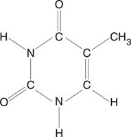 THYMINE.CMX