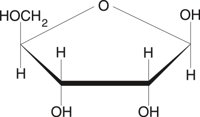 RIBOSE.CMX