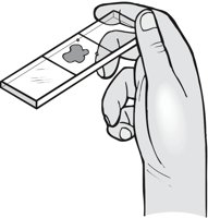 HANDSLID.CMX