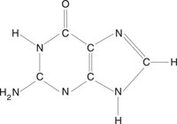 GUANINE.CMX