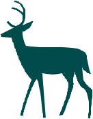 ICONC126.CMX