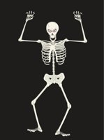 SKELETON.CMX