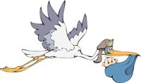 STORK6.CMX