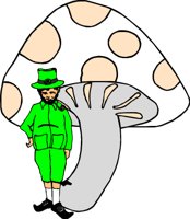 STPAT014.CMX