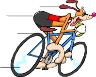 BICYCLEA.CMX
