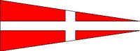 NFLAG_4.WMF