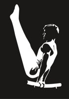 GYMNAST1.CMX
