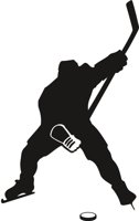 SLAPSHOT.CMX