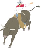 BULLRIDR.CMX