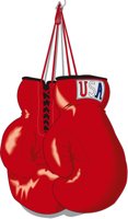 BOXINGGL.CMX