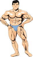 BODYBLD1.CMX