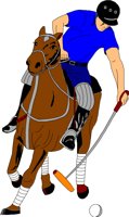 POLO001.CMX