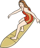 F_SURFER.CMX