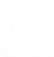 1CBLOUSE.CMX