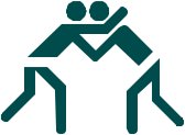 ICONC267.CMX