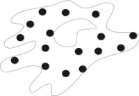 MACROPHG.CMX